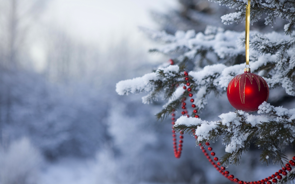 Decorating the Trees